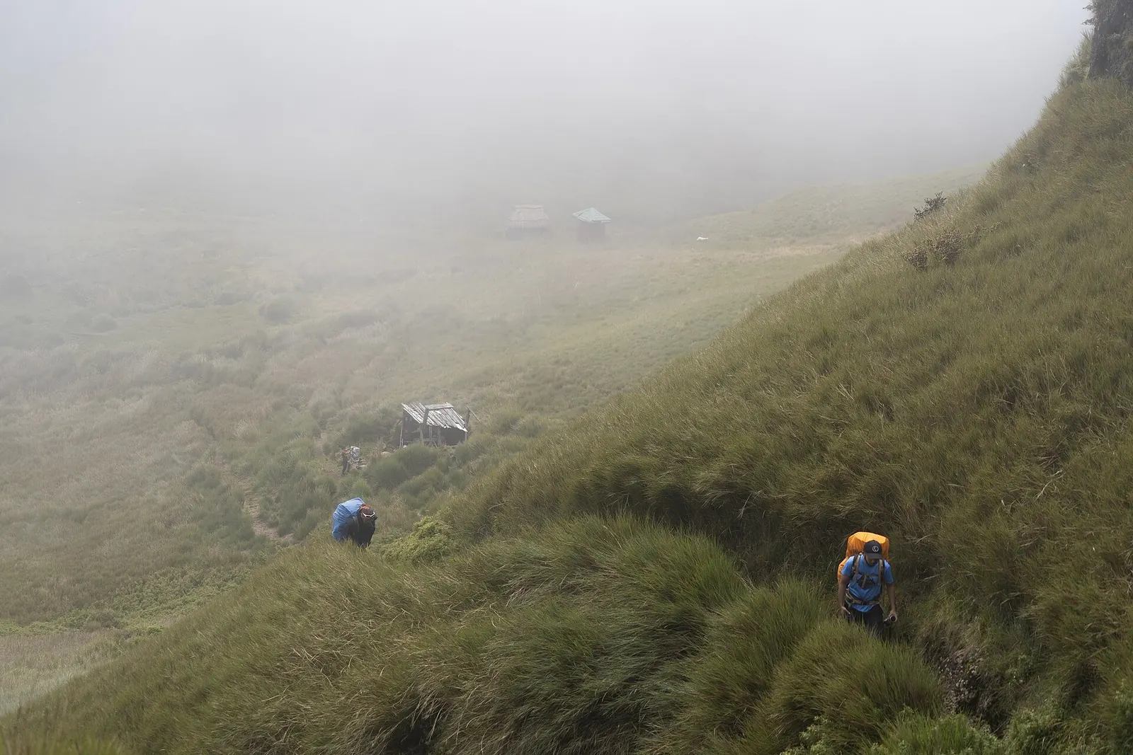 A trail through the grassland landscape of Mount Pulag