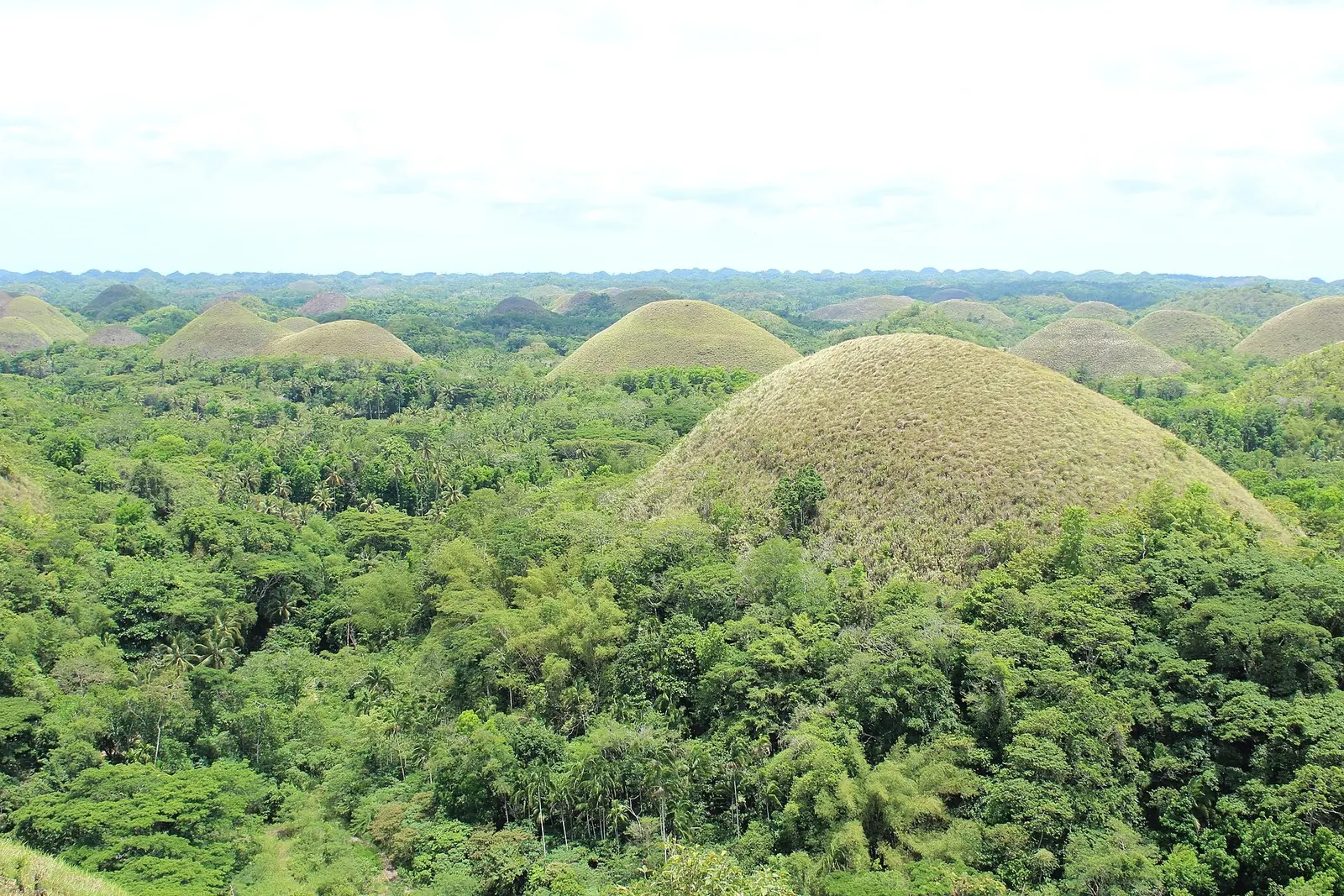 The Chocolate Hills in Carmen, Bohol