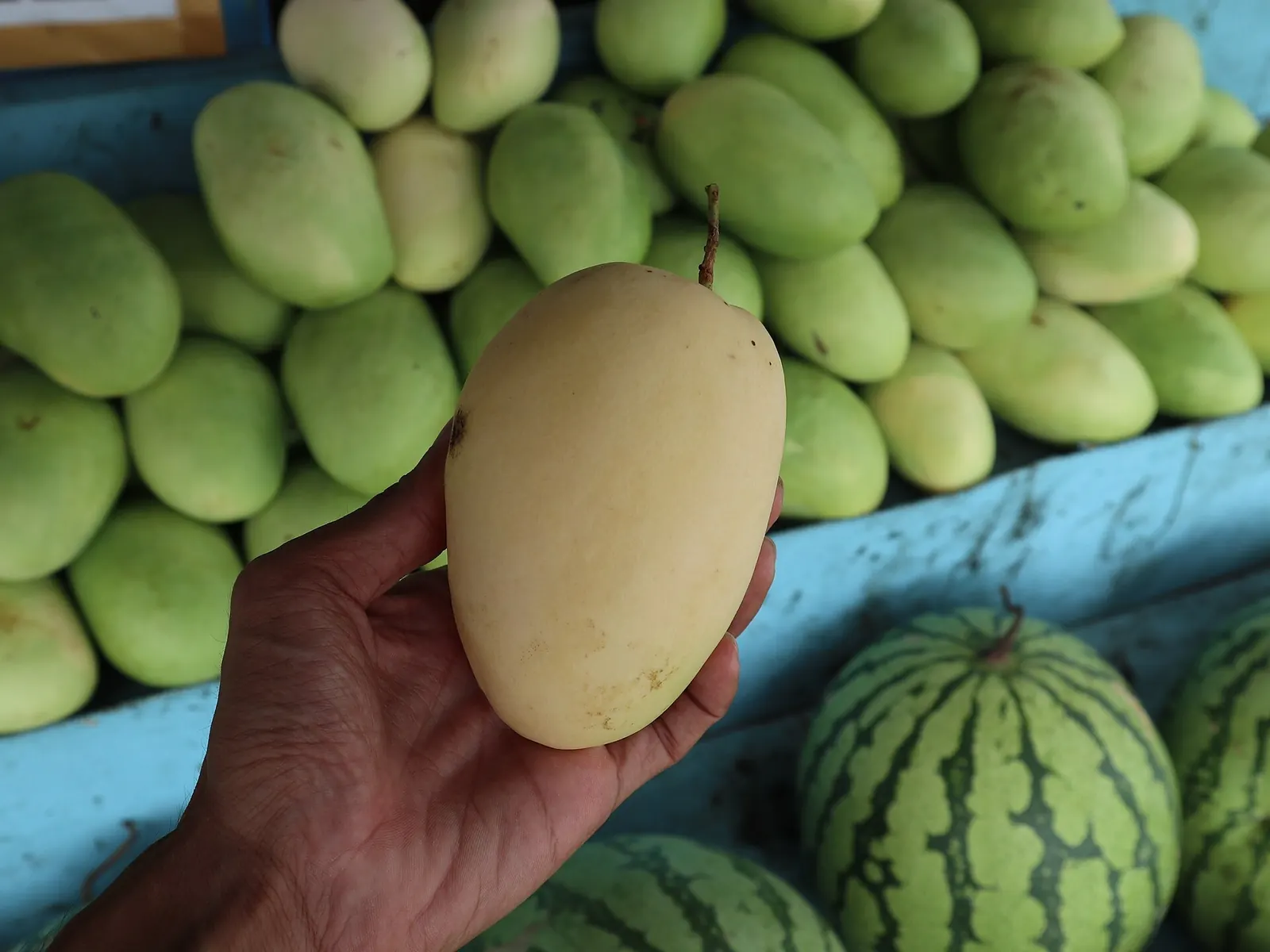 Mangoes in Jordan, Guimaras