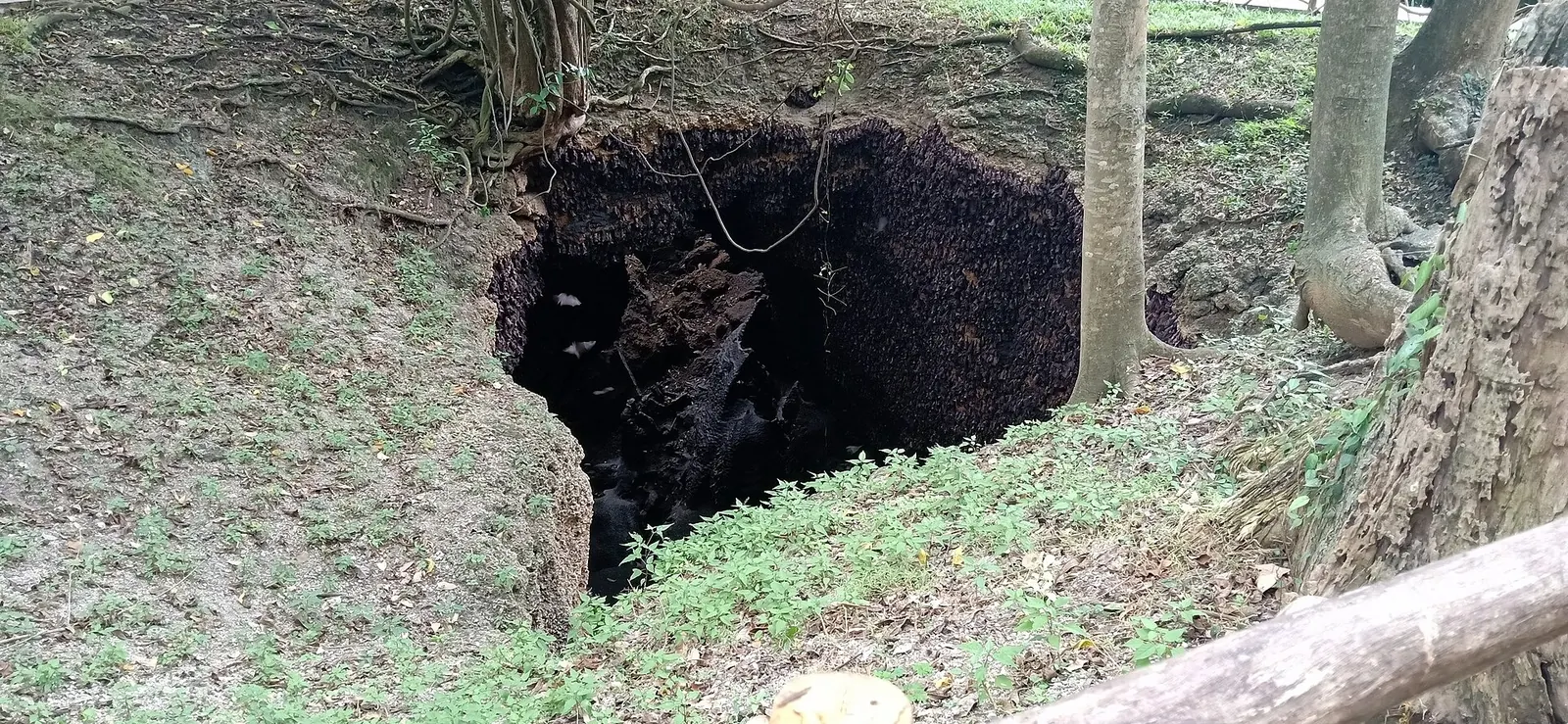 One of the cave openings at the Monfort Bat Sanctuary on Samal