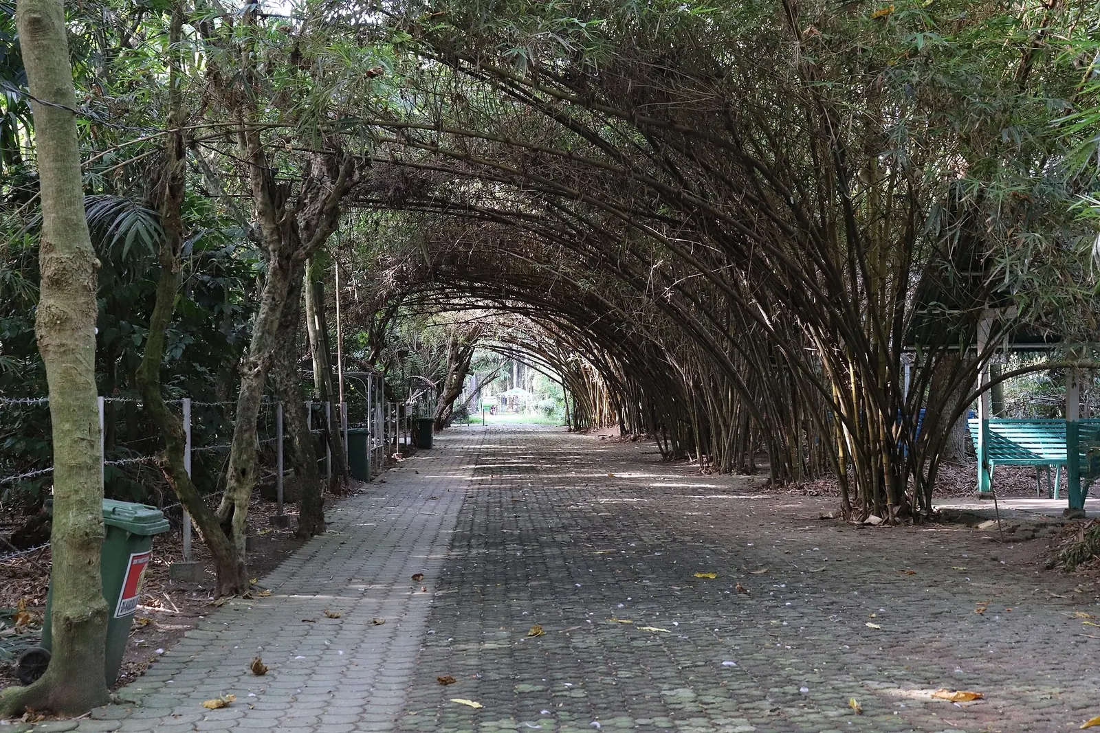 A shaded path at the Baras Bird Sanctuary near Tacurong, Sultan Kudarat