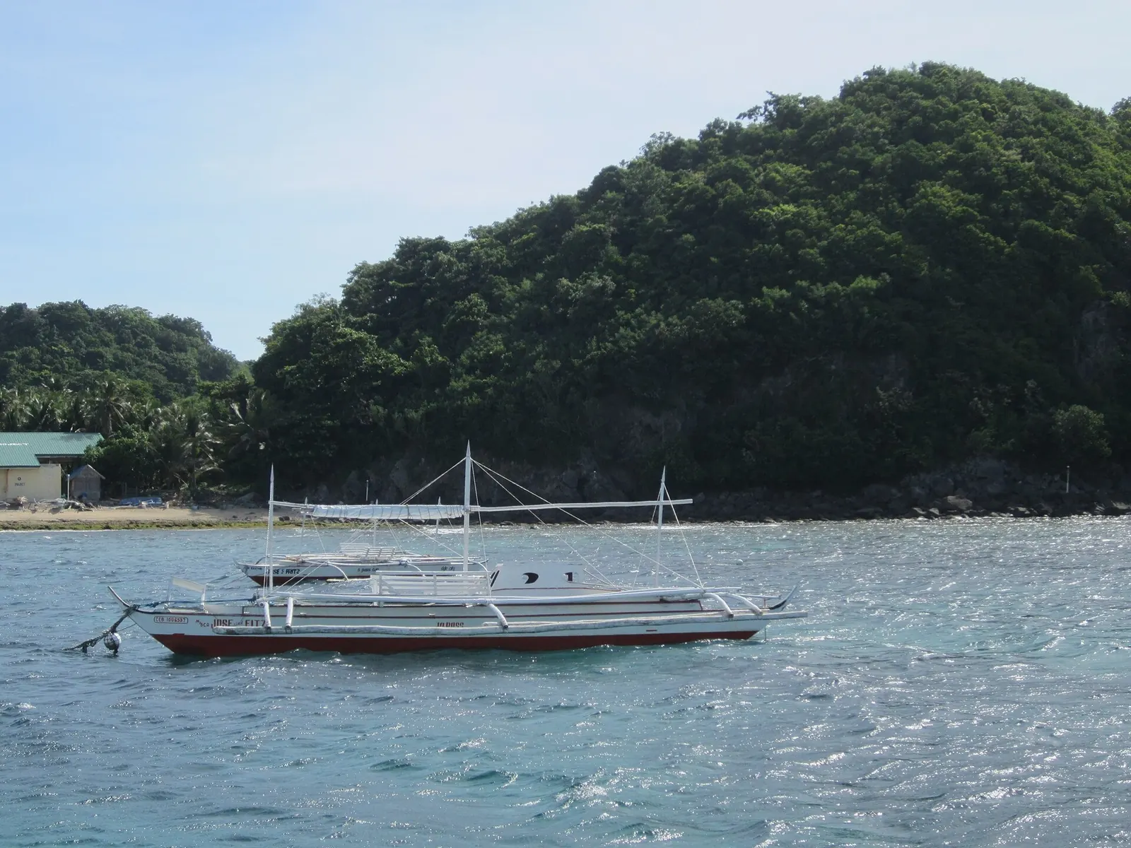 Apo Island off Negros Oriental