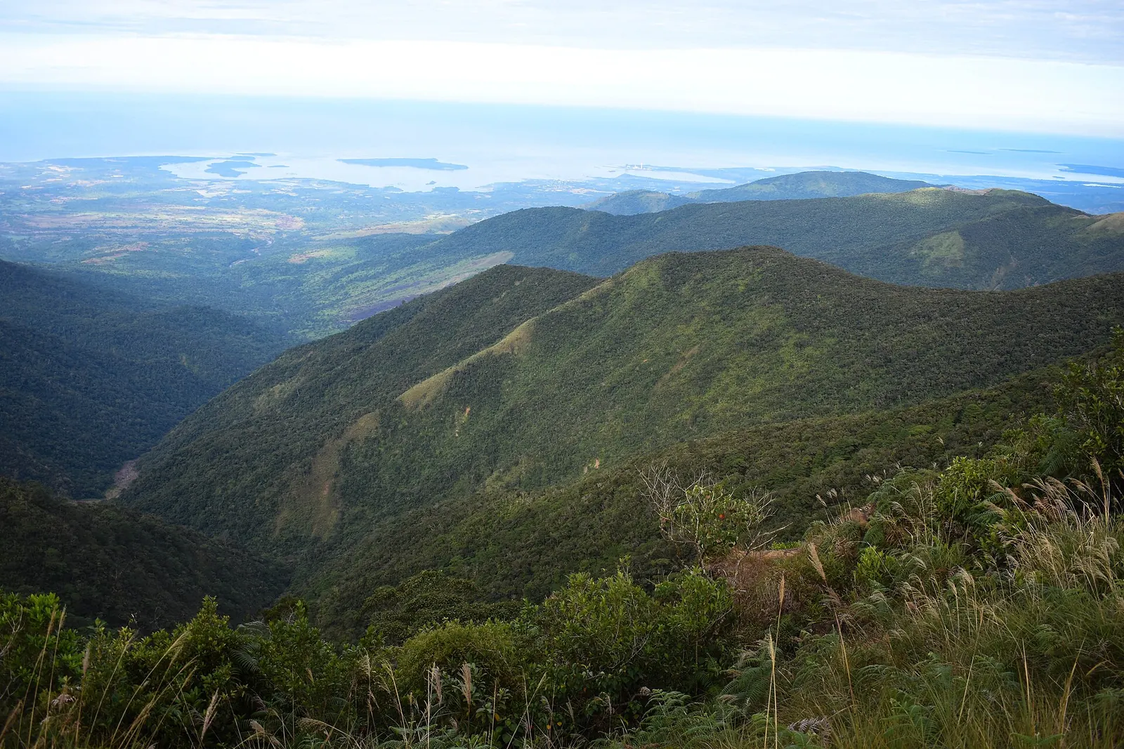Green ridgelines and the distant coast seen from Mount Tapulao, Zambales.